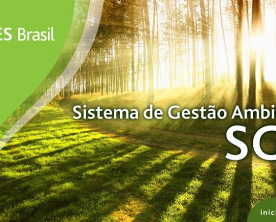 Cursos EAD – Sistema de Gestão Ambiental – AES Brasil